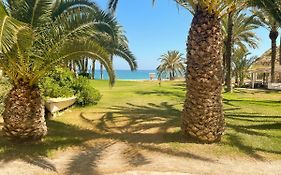 Palm Beach Paradise - Private Access To The Beach
